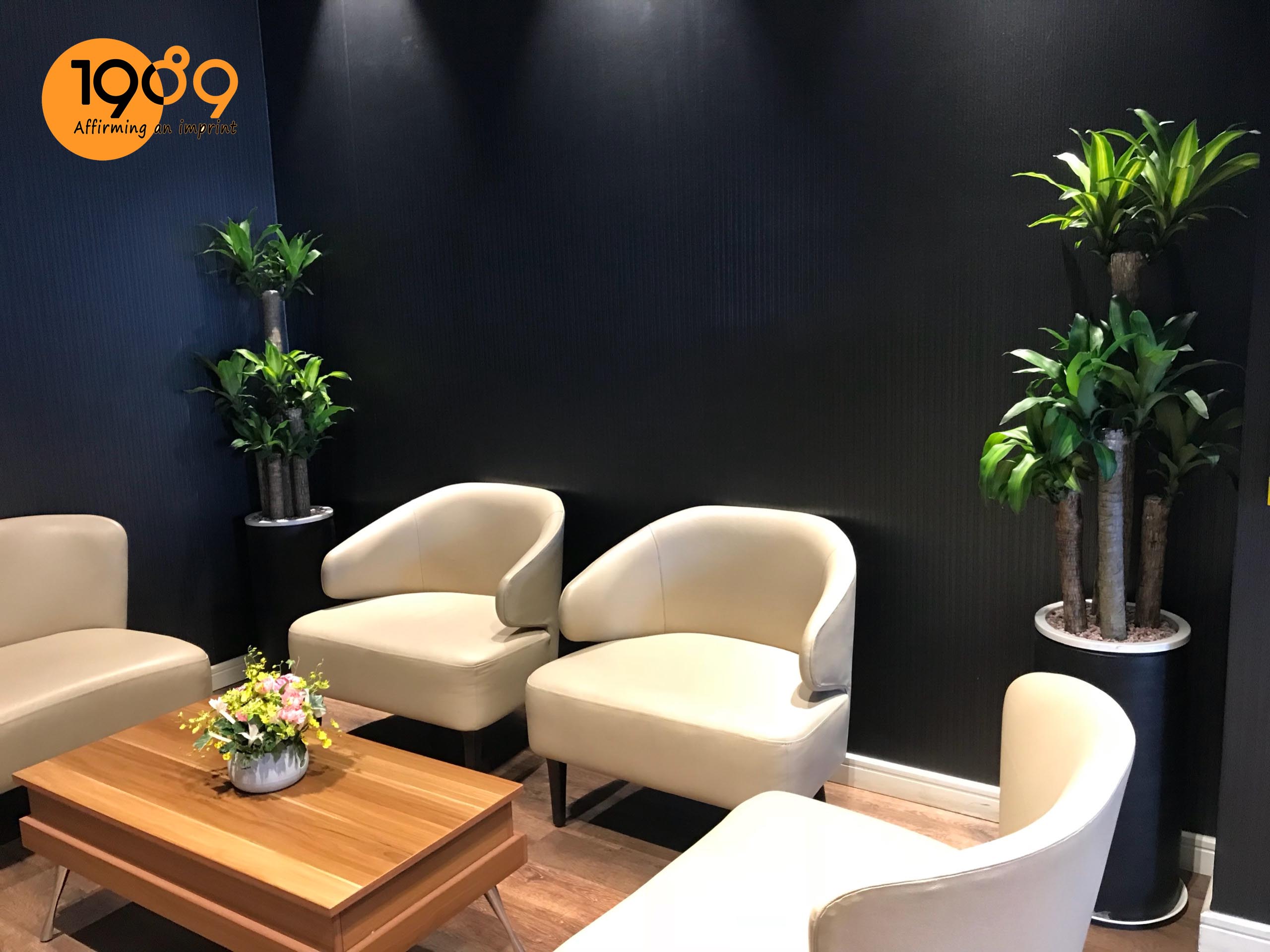 nội thất thiết mộc lan